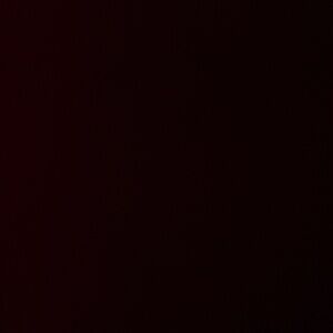 Meet your Posher, Mona